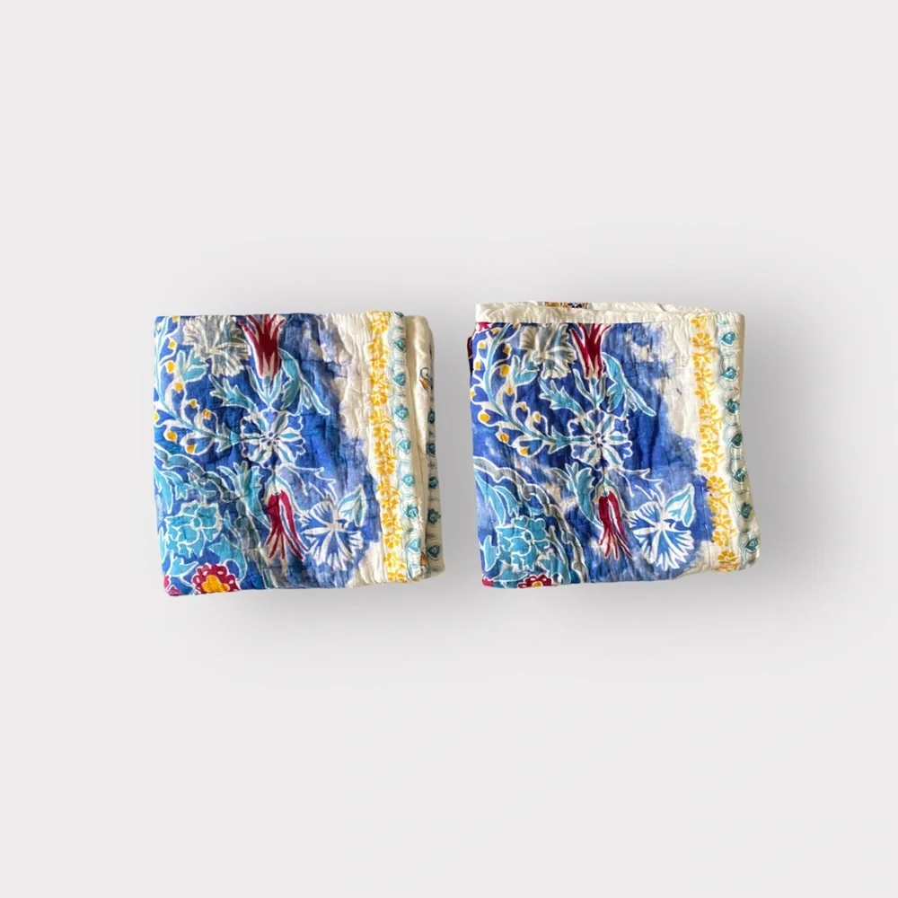 Anthropology Emari Euro Sham Set of 2
